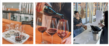 Guided Tasting Experience at The Winery